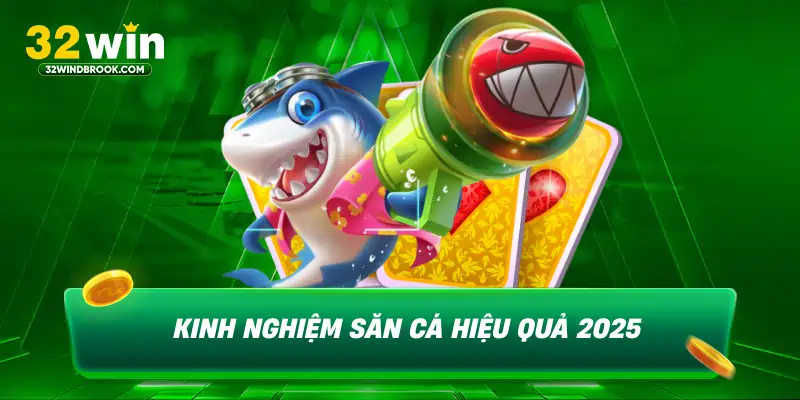 Kinh nghiệm săn cá hiệu quả 2025